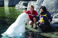 Vancouver – Vancouver Aquarium
